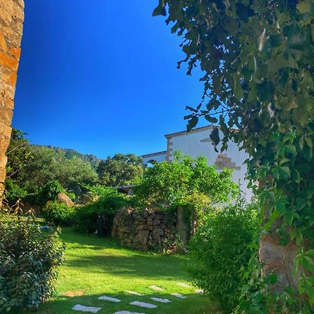 Padru Agriturismo Casteddu מראה חיצוני תמונה