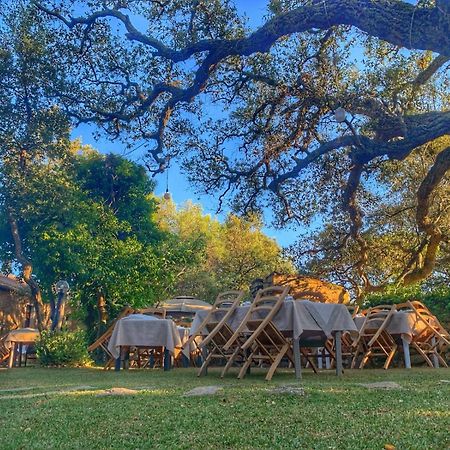 Padru Agriturismo Casteddu מראה חיצוני תמונה
