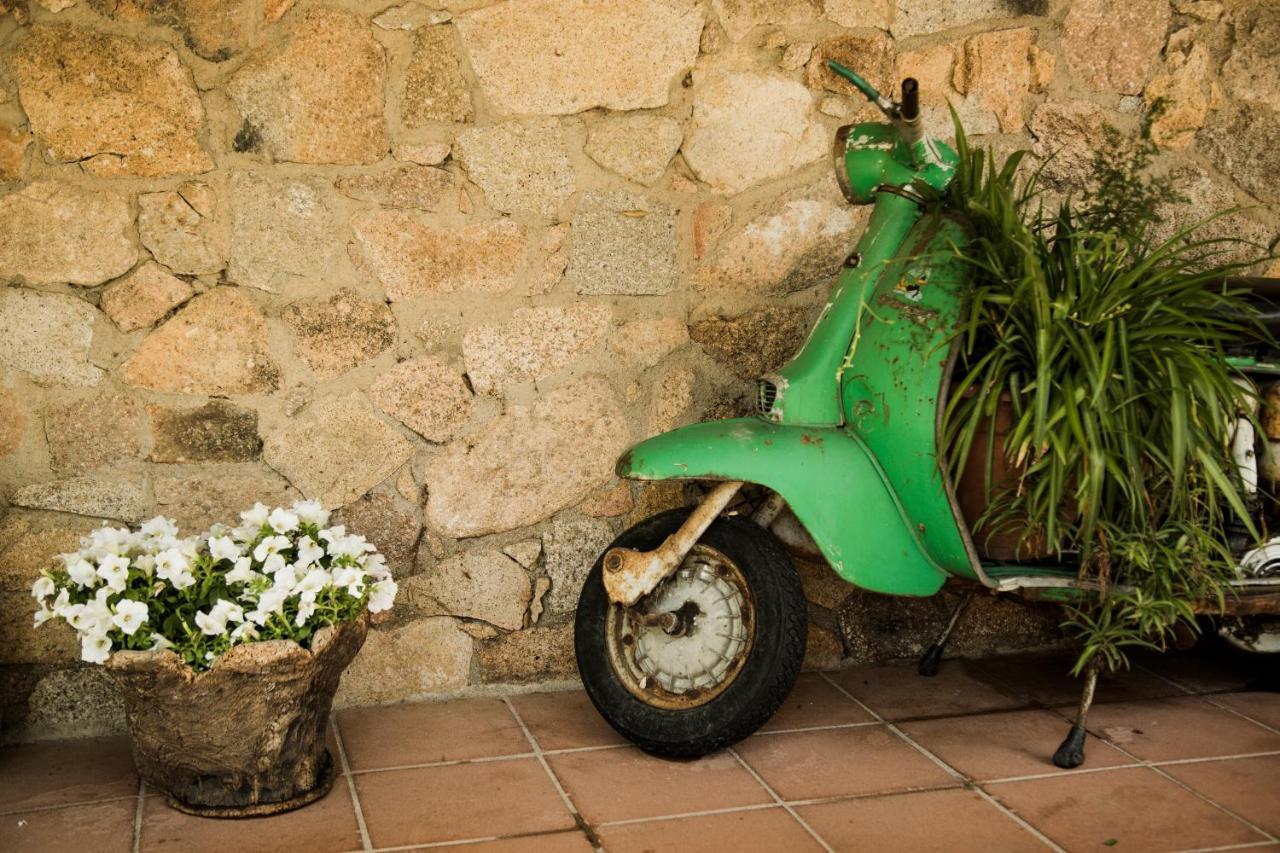 Padru Agriturismo Casteddu מראה חיצוני תמונה