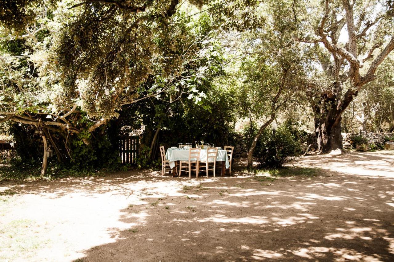 Padru Agriturismo Casteddu מראה חיצוני תמונה