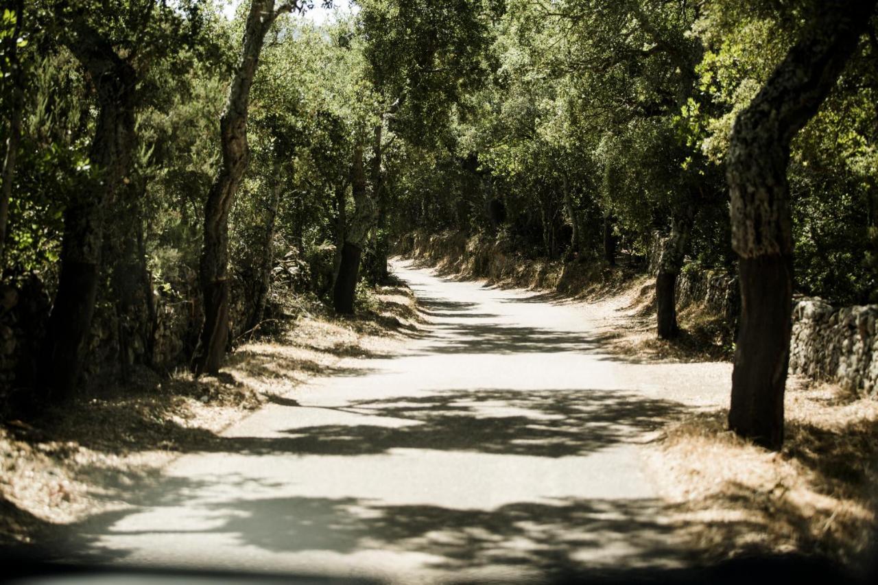 Padru Agriturismo Casteddu מראה חיצוני תמונה