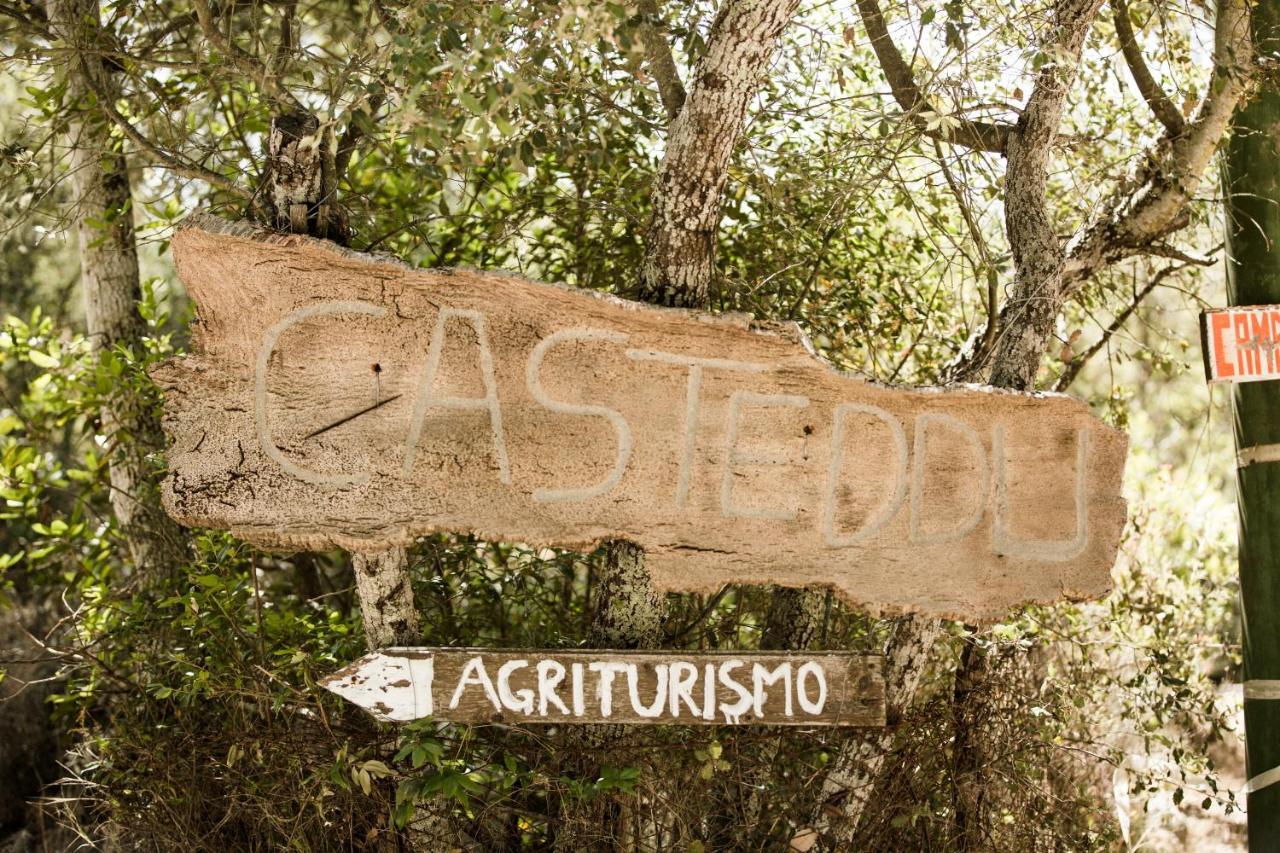 Padru Agriturismo Casteddu מראה חיצוני תמונה