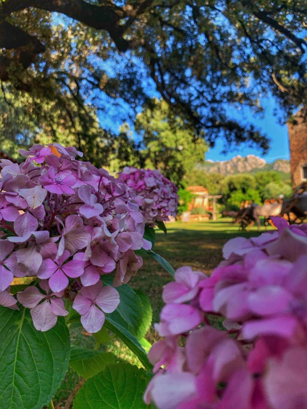 Padru Agriturismo Casteddu מראה חיצוני תמונה