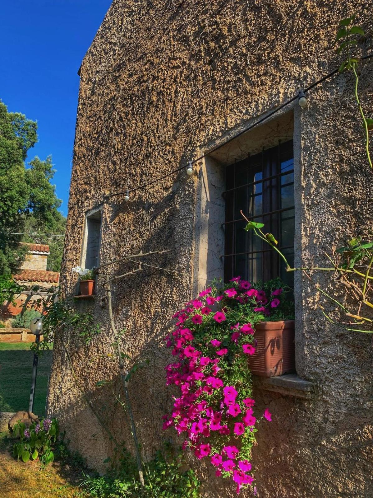 Padru Agriturismo Casteddu מראה חיצוני תמונה