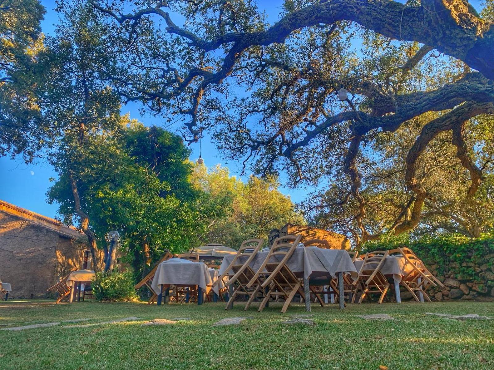 Padru Agriturismo Casteddu מראה חיצוני תמונה